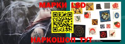 a pvp Камышлов