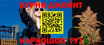 a pvp Камышлов