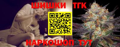 a pvp Камышлов