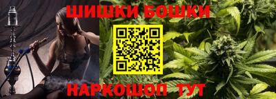 a pvp Камышлов