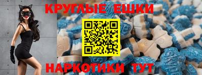 a pvp Камышлов
