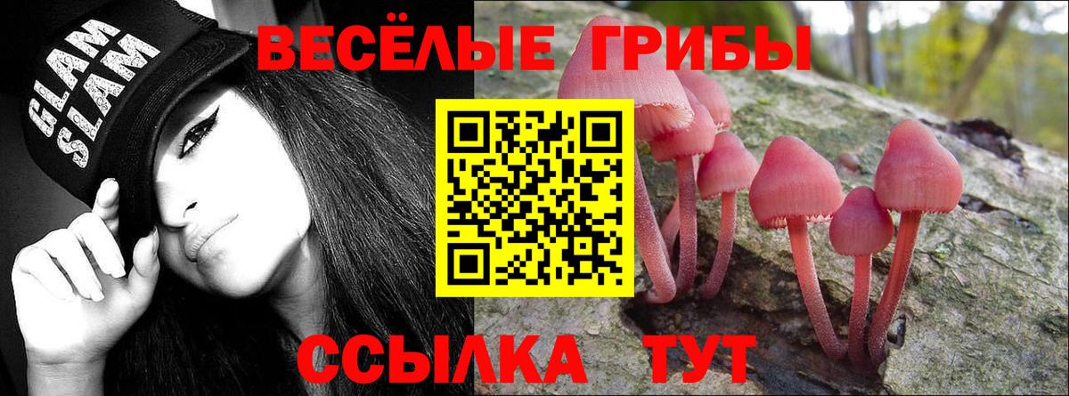 Галлюциногенные грибы Magic Shrooms  Вход с VPN  Волоколамск  Псилоцибиновые грибы мухоморы 