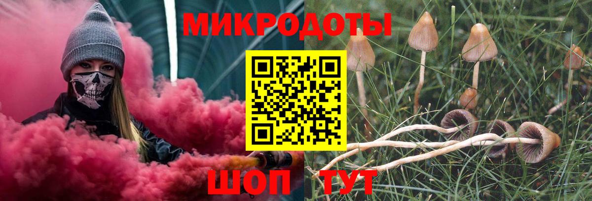 Галлюциногенные грибы мухоморы Волоколамск