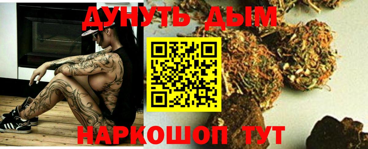 Каннабис конопля  Шишки марихуана OG Kush  Конопля план  Волоколамск  Вход с VPN  Каннабис Bruce Banner 